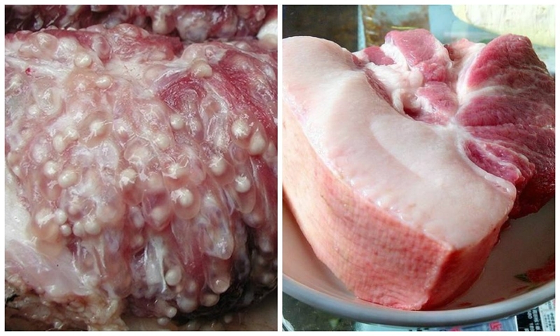 Ăn tiết canh bị hoại tử có thật hay không? 1