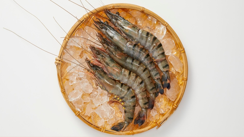 Tôm là thực phẩm giàu protein và khoáng chất có lợi cho sức khỏe