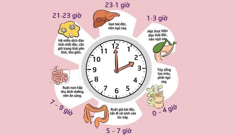 Ăn trái cây khi nào là tốt nhất 2