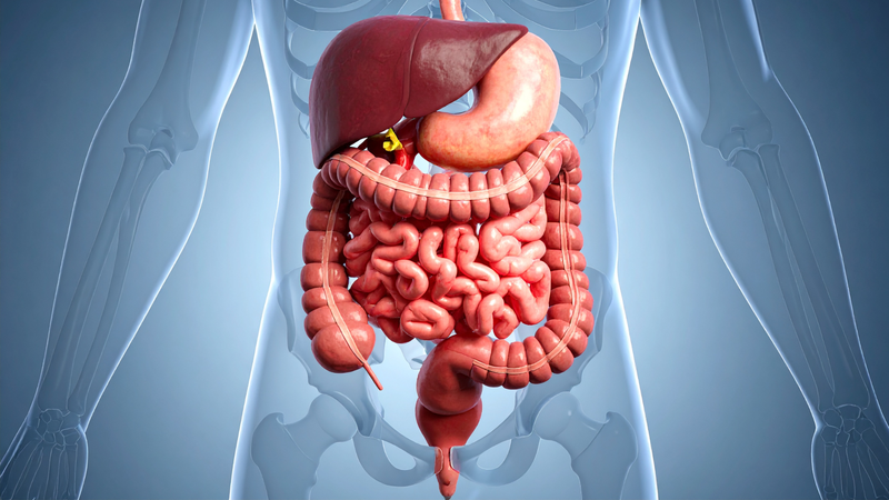 Trứng gà mang lại nhiều vitamin và khoáng chất