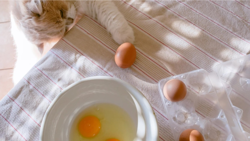 Ăn trứng lúc nào trong ngày là tốt nhất? 1