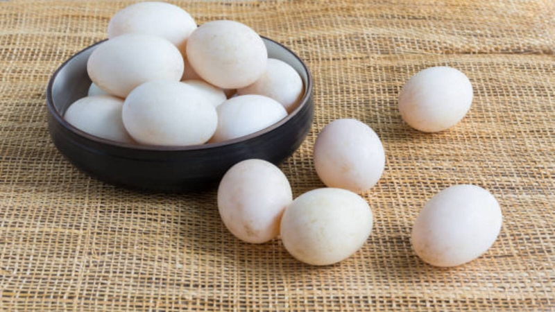 Ăn trứng vịt sống có sao không? Những điều bạn cần biết 1