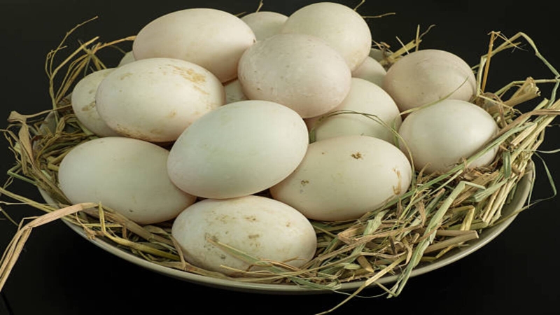 Ăn trứng vịt sống có sao không? Những điều bạn cần biết 4