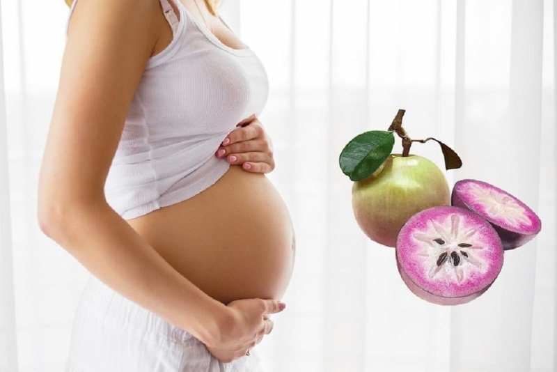 Ăn vú sữa có bị táo bón không? Những lưu ý khi ăn vú sữa bạn nên biết 2