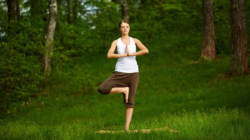 Ananda Yoga là gì? Lợi ích nhận được khi thực hành thường xuyên 1