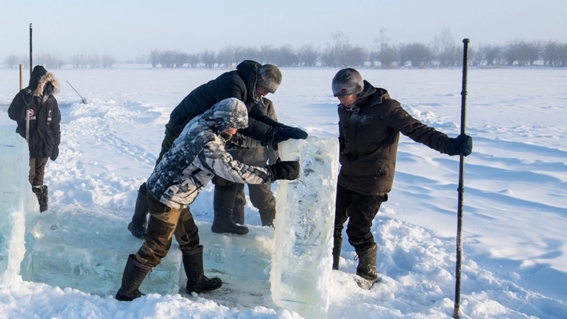 Cảnh báo nguy cơ bùng đại dịch mới từ virus "thây ma" Bắc Cực 3