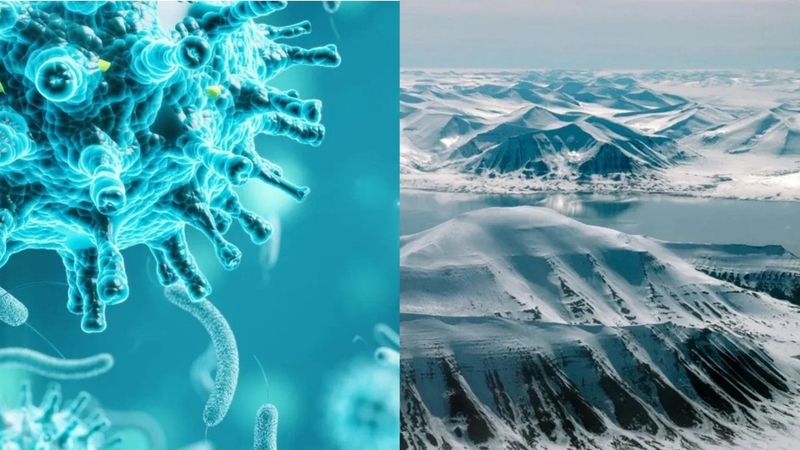 Cảnh báo nguy cơ bùng đại dịch mới từ virus "thây ma" Bắc Cực 1