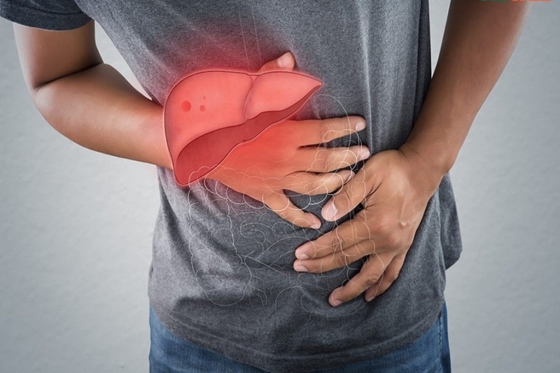 Ảnh hưởng của bệnh gan nhiễm mỡ và máu nhiễm mỡ trong cơ thể3