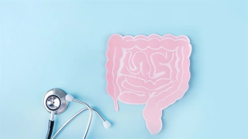 Ảnh hưởng của việc nhịn ăn gián đoạn đối với hệ vi sinh vật đường ruột 2