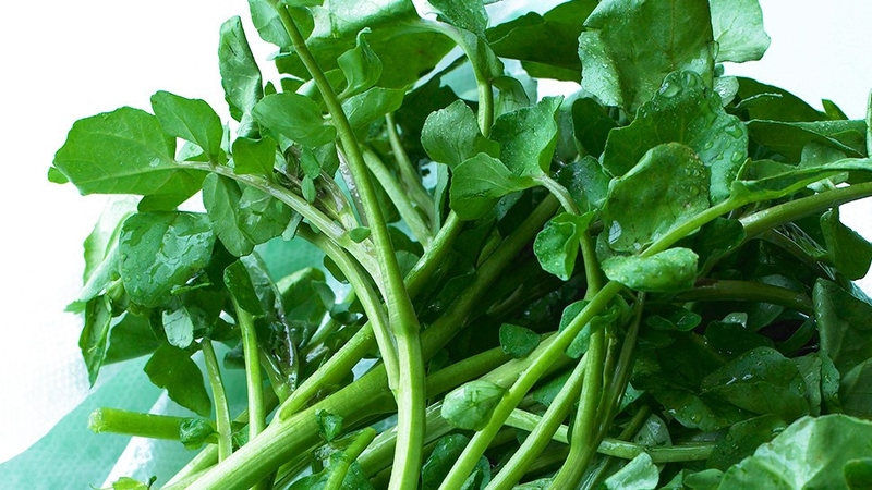 Áp dụng 5 quy tắc này và bạn sẽ đẩy lùi được bệnh tiểu đường 2 Áp dụng 5 quy tắc này và bạn sẽ đẩy lùi được bệnh tiểu đường 2