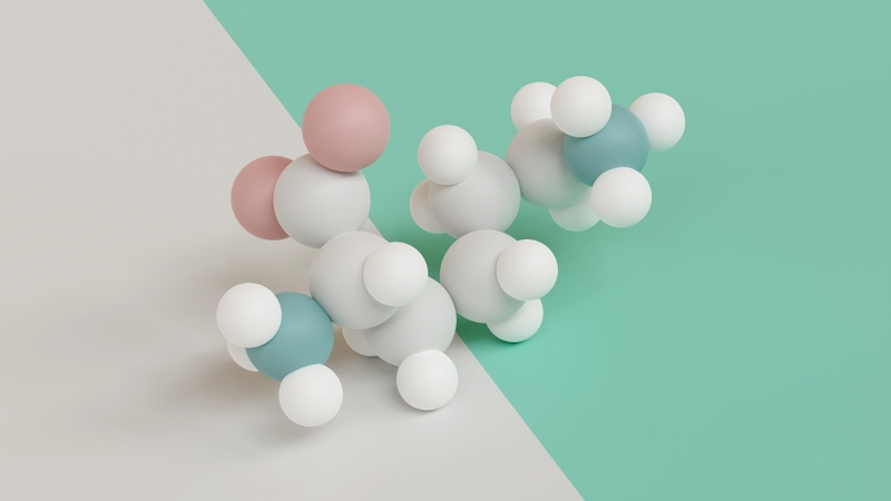 ARN có chức năng vận chuyển axit amin