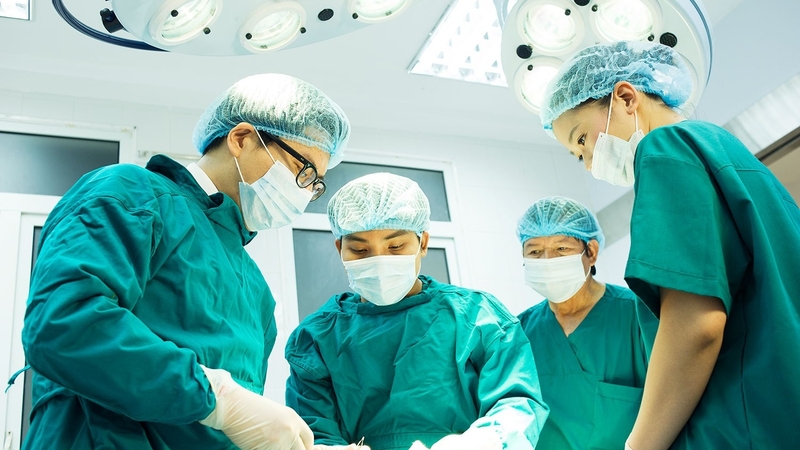 Atlas giải phẫu: Cẩm nang cần thiết lý giải chi tiết cơ thể người 3