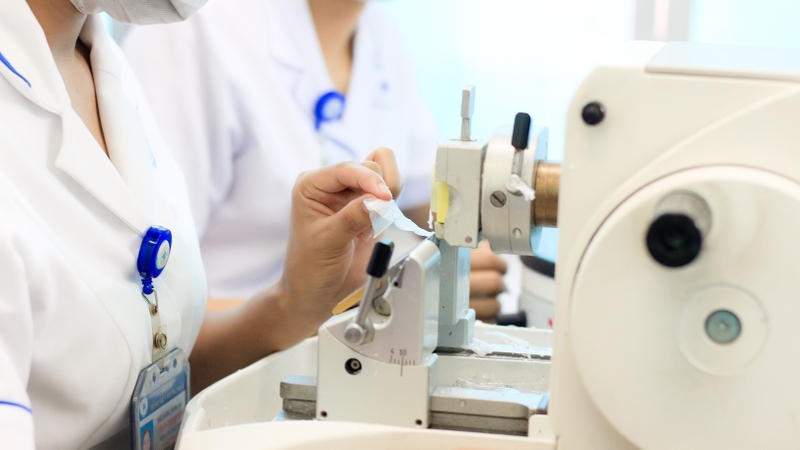 Atlas giải phẫu: Cẩm nang cần thiết lý giải chi tiết cơ thể người 4