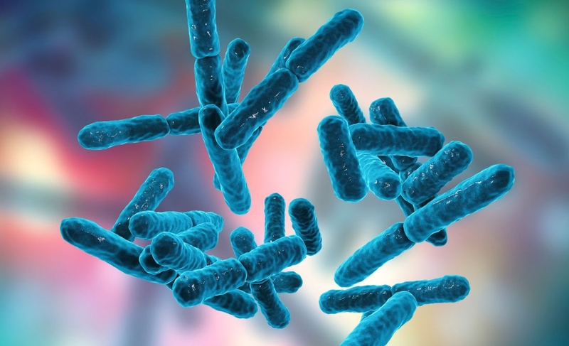 Axit béo chuỗi ngắn là gì và có tác dụng gì? 1