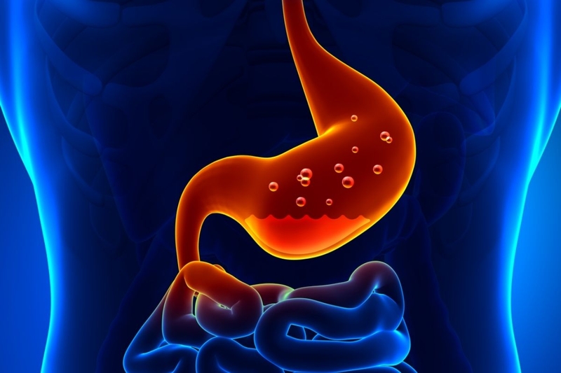 Axit dạ dày là gì? Sự bài tiết và hoạt động của chúng như thế nào? 1