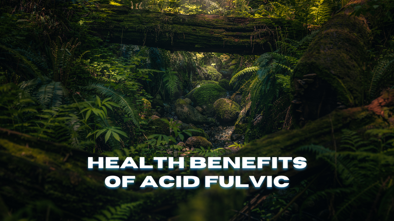 Axit Fulvic là gì? 7 lợi ích tuyệt vời của axit Fulvic 2
