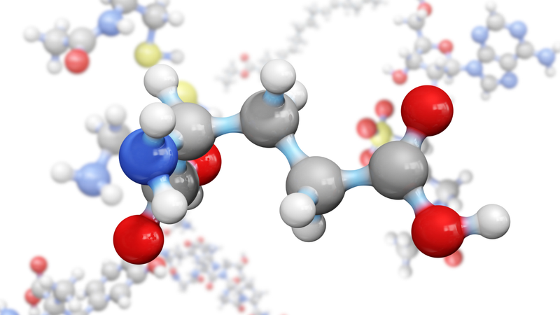 Axit glutamic tham gia vào quá trình chuyển hóa carbohydrate