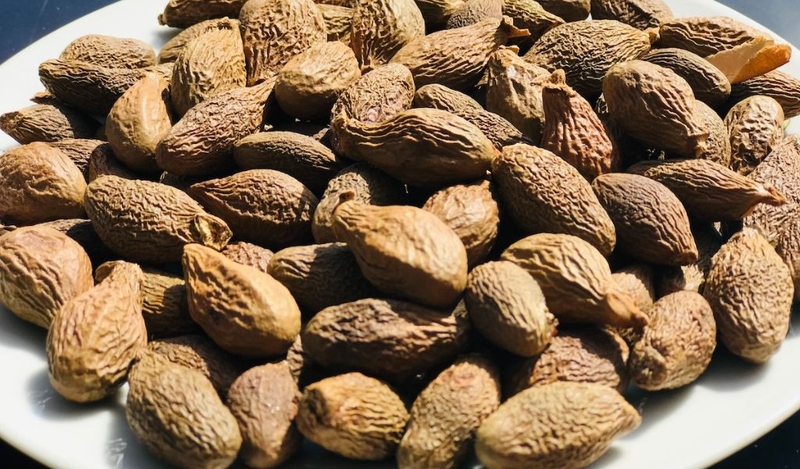 Bà bầu ăn hạt ươi được không? Cách sử dụng và lưu ý cho phụ nữ mang thai 1