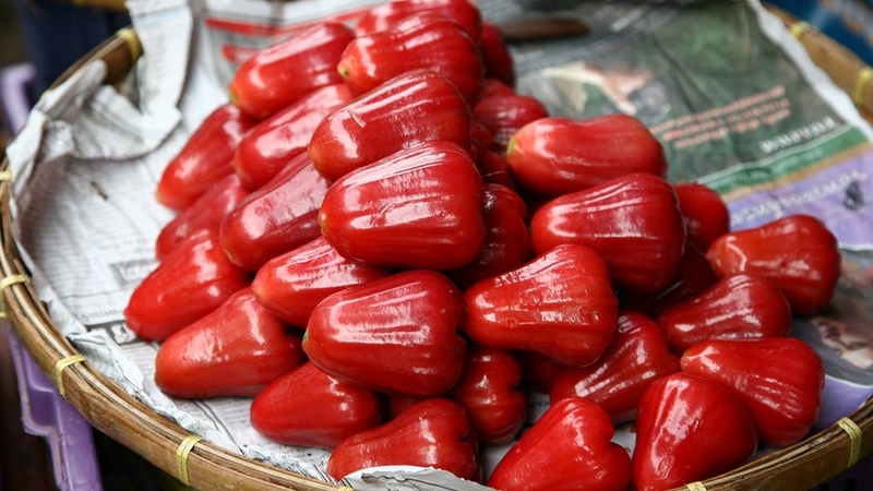 Bà bầu ăn quả roi có tốt không? Lợi ích khi ăn quả roi 1