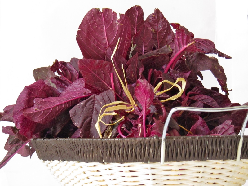 Bà bầu ăn rau dền được không? Lợi ích của rau dền với bà bầu là gì? 1