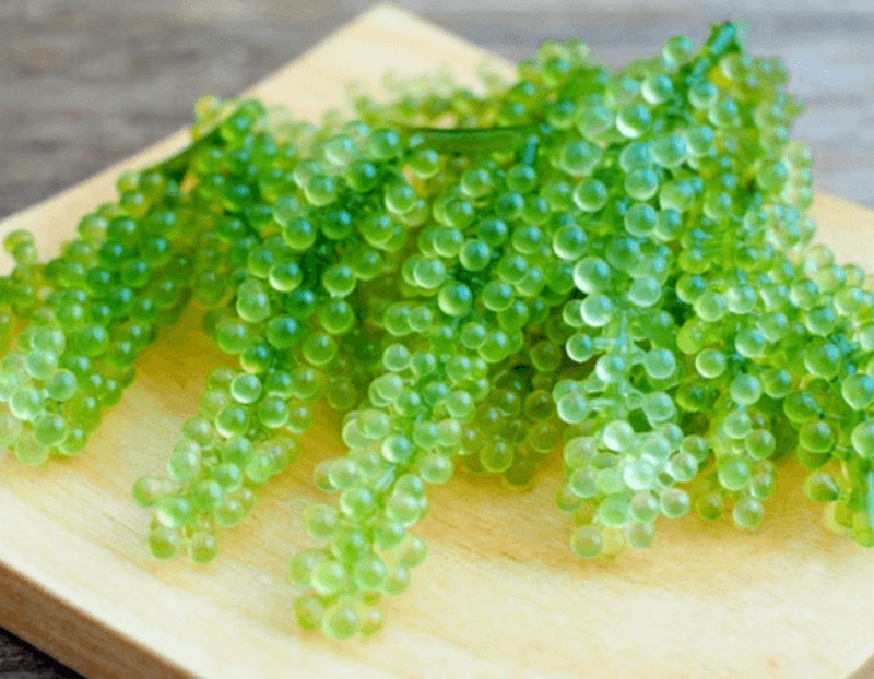 Bà bầu ăn rong nho được không? Những điều bà bầu cần lưu ý khi ăn rong nho 1