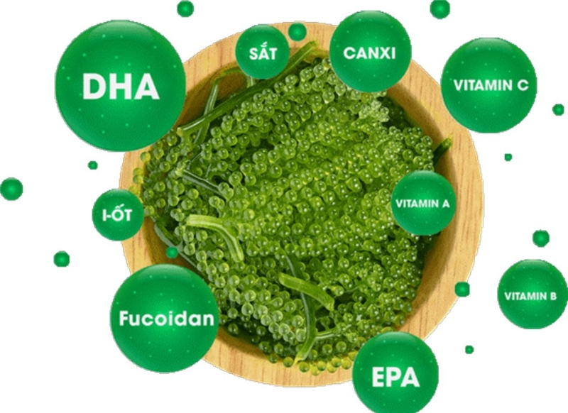 Bà bầu ăn rong nho được không? Những điều bà bầu cần lưu ý khi ăn rong nho 2