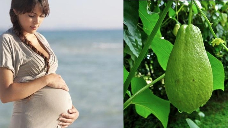 Bà bầu ăn su su được không? Những lợi ích không ngờ từ quả su su 1