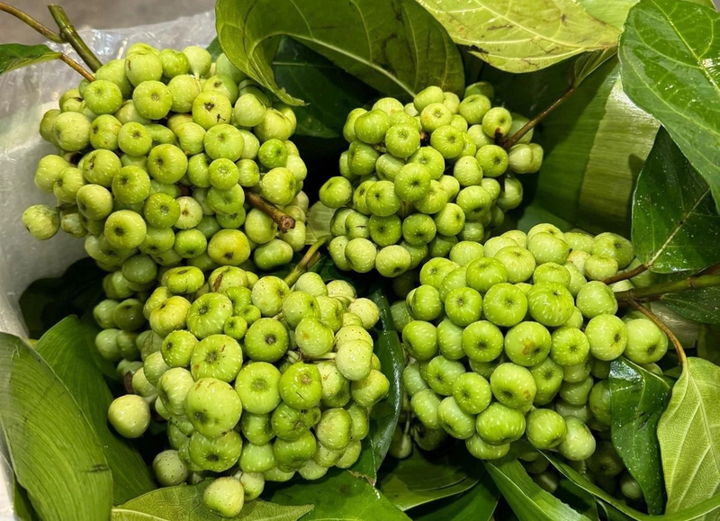 Bà bầu ăn sung muối được không? Những điều cần lưu ý khi bà bầu ăn sung muối 1