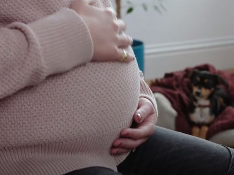 bà bầu bị chó cắn 1