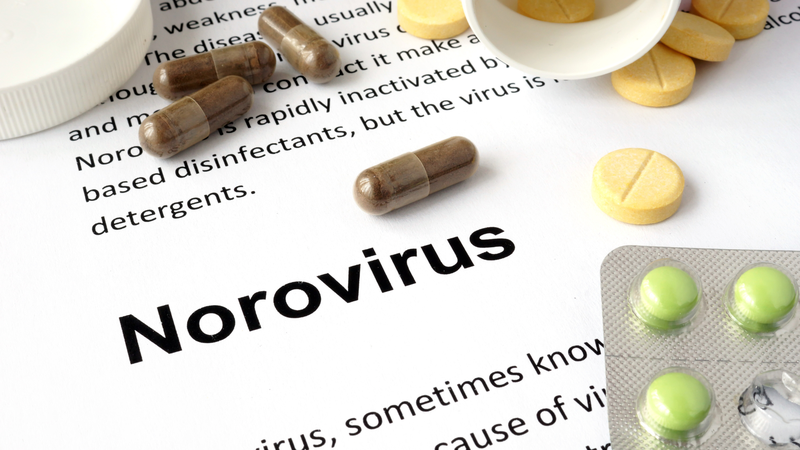 Bà bầu bị nhiễm Norovirus chính là tình trạng mất nước và điện giải cấp tính