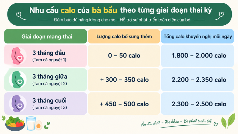 Bà bầu cần bao nhiêu calo mỗi ngày sẽ tùy thuộc vào từng giai đoạn