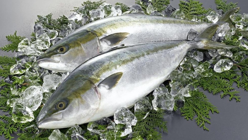 Bà bầu ăn cá cam được không? Lợi ích và tác hại của cá cam với bà bầu 4