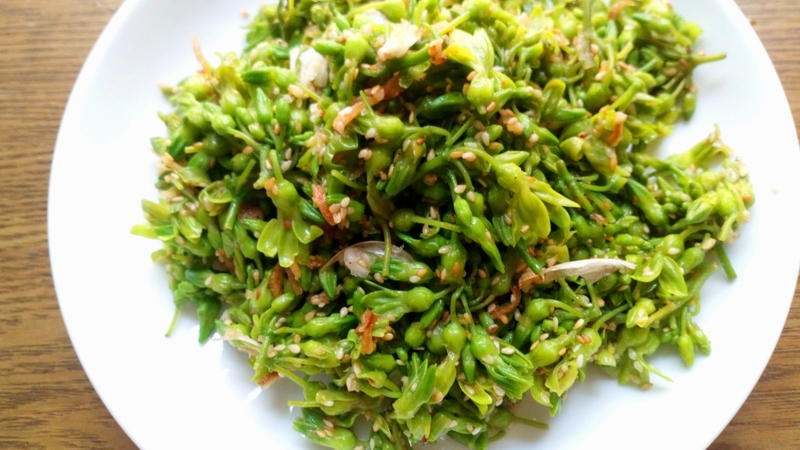 Bà bầu có ăn được hoa thiên lý không? Những lợi ích và lưu ý khi ăn loại hoa này 3