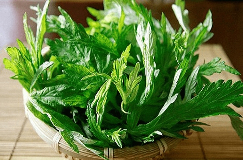 Bà bầu có ăn được ngải cứu không? Những điều bà bầu cần lưu ý khi ăn ngải cứu 4