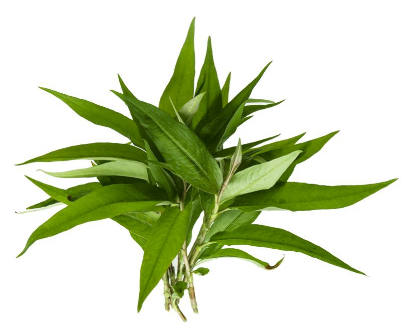 mang thai kiêng gì 2