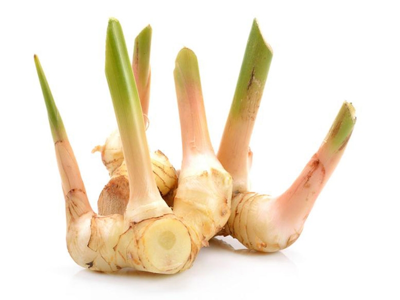 Bà bầu có nên ăn củ riềng không? Lợi ích của củ riềng đối với bà bầu 1