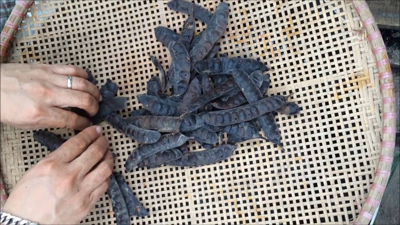 Bà bầu nên dùng dầu gội nào tốt và an toàn2