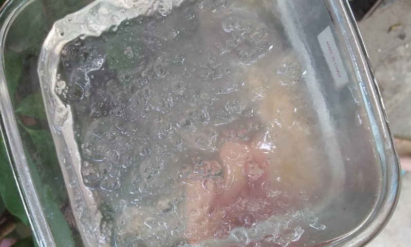 Sử dụng liều lượng mủ trôm phù hợp cho bà bầu