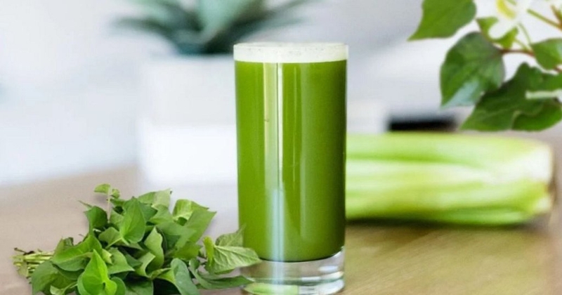 Bà bầu uống nước ép diếp cá được không? Tác dụng của nước ép diếp cá với bà bầu 2