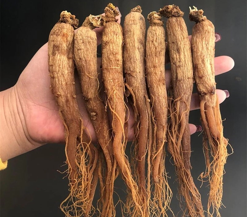 bà bầu uống nước sâm Hàn Quốc được không 1