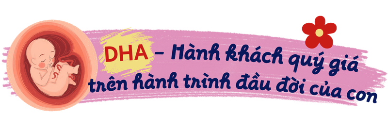 DHA - Hành khách quý giá trên hành trình đầu đời của con