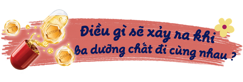 Điều gì sẽ xảy ra khi ba dưỡng chất đi cùng nhau?