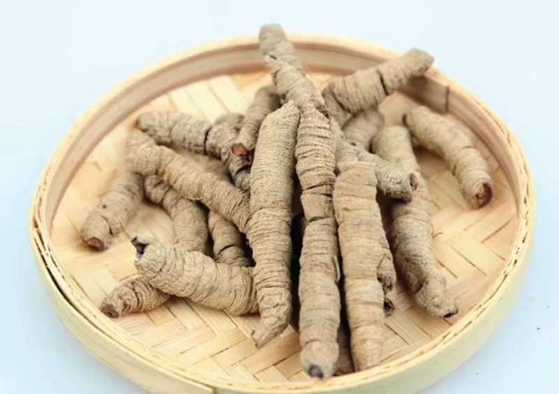 ba-kich-la-gi-nhung-cong-dung-cua-ba-kich-doi-voi-suc-khoe 1.jpg