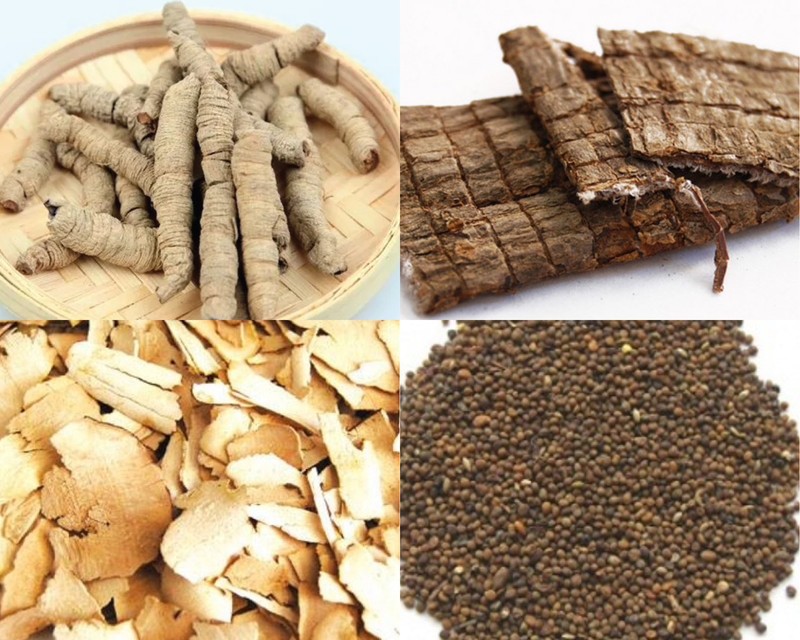 ba-kich-la-gi-nhung-cong-dung-cua-ba-kich-doi-voi-suc-khoe 2.png