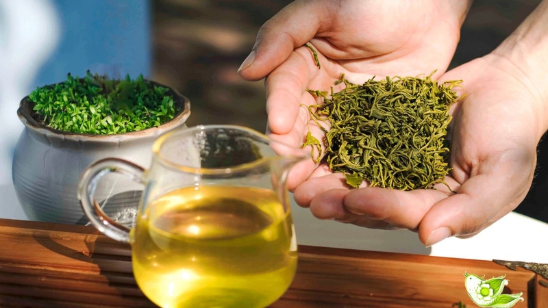 Ít ai ngờ rằng trong bã trà vẫn chứa nhiều chất có lợi