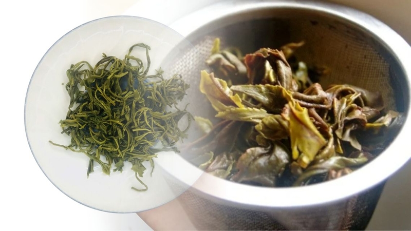 Bạn có thể tận dụng bã trà theo nhiều cách khác nhau trong cuộc sống