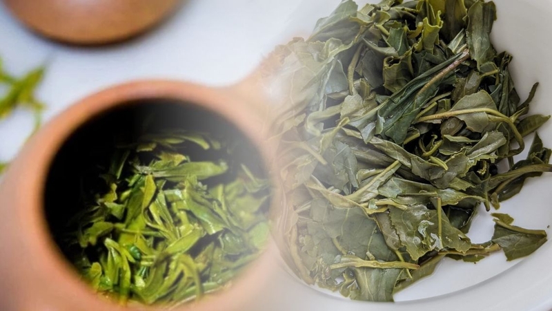 Tùy từng mục đích sử dụng bã trà sẽ có những lưu ý riêng bạn cần biết