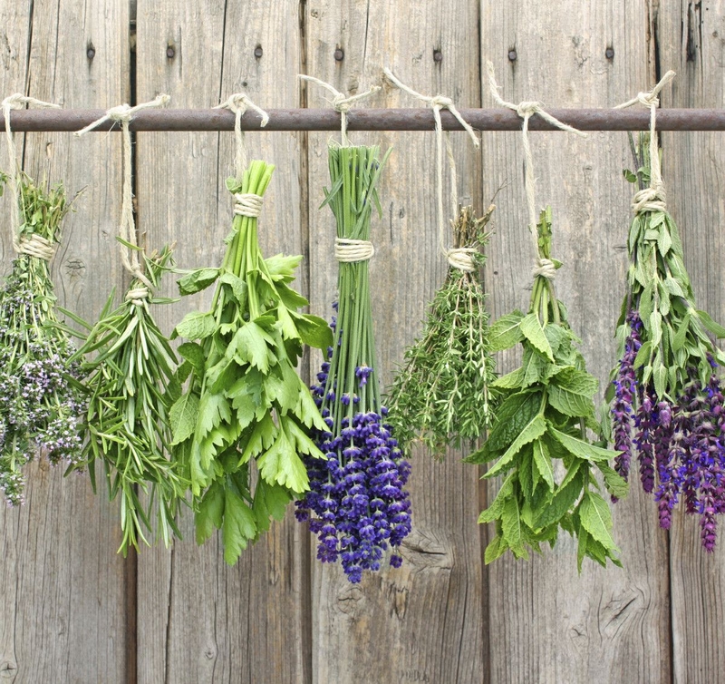 Bác sĩ hướng dẫn cách xông mũi, họng tại nhà2