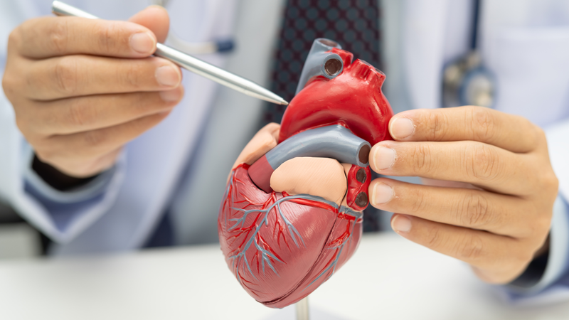 Bác sĩ vẫn cần tiếp tục theo dõi các biến chứng tim mạch về sau