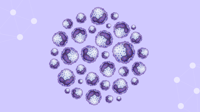 Bạch cầu ái kiềm: Chức năng, cấu tạo, vai trò và tình trạng sức khỏe liên quan 1